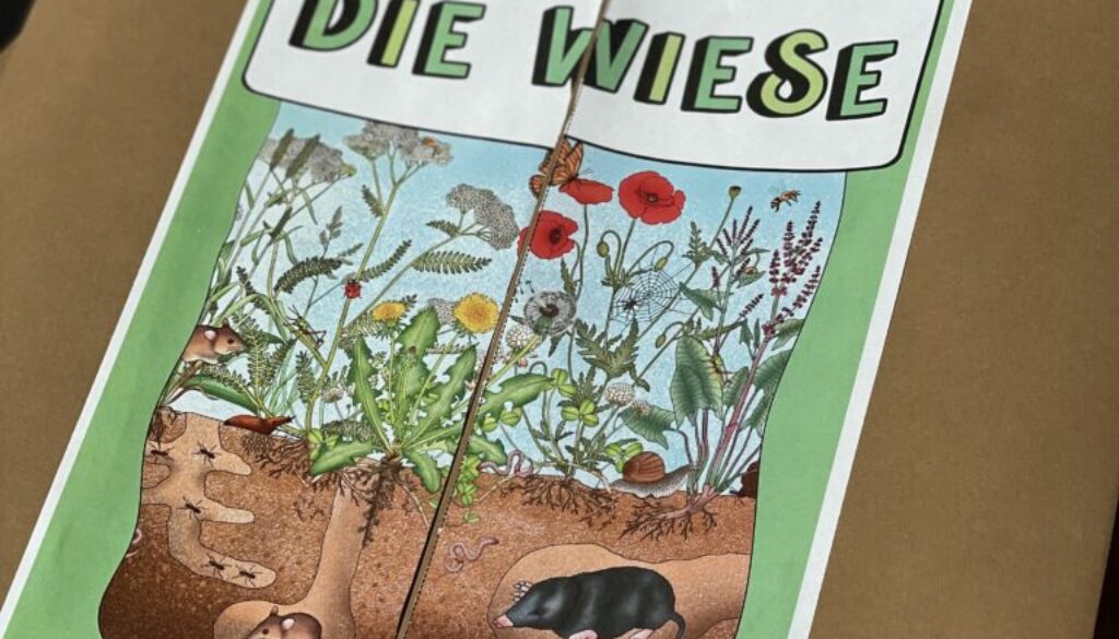 Lapbook Wiese 4