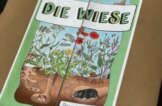 Lapbook Wiese 4