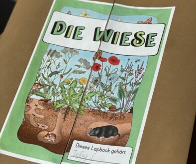 Lapbook Wiese 4