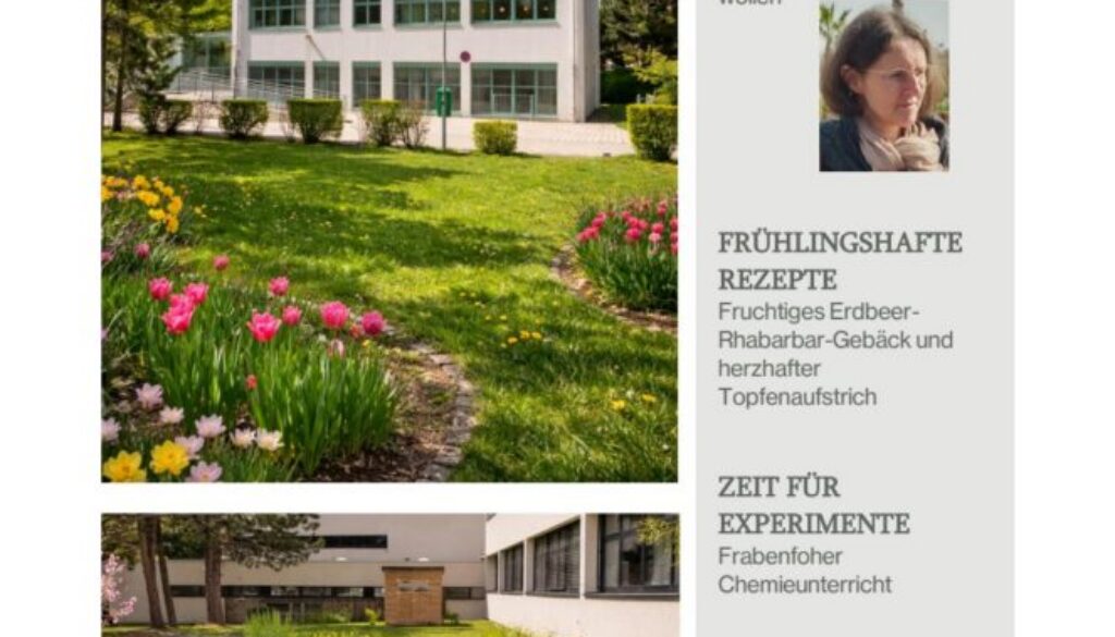 Zeitungsprojekt_2026