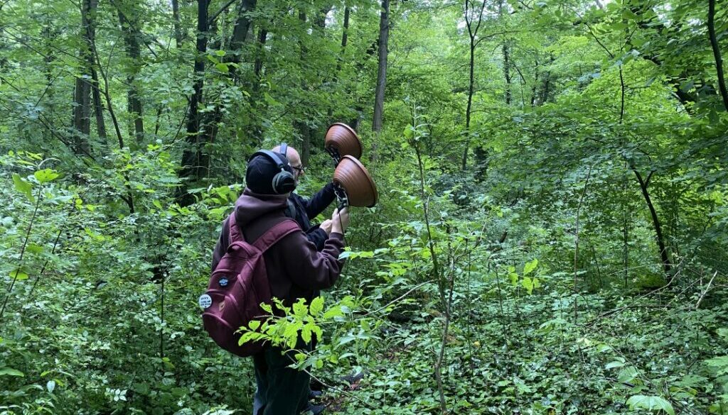 2026-05-12 ForestG3