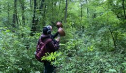 2026-05-12 ForestG3