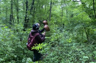 2026-05-12 ForestG3
